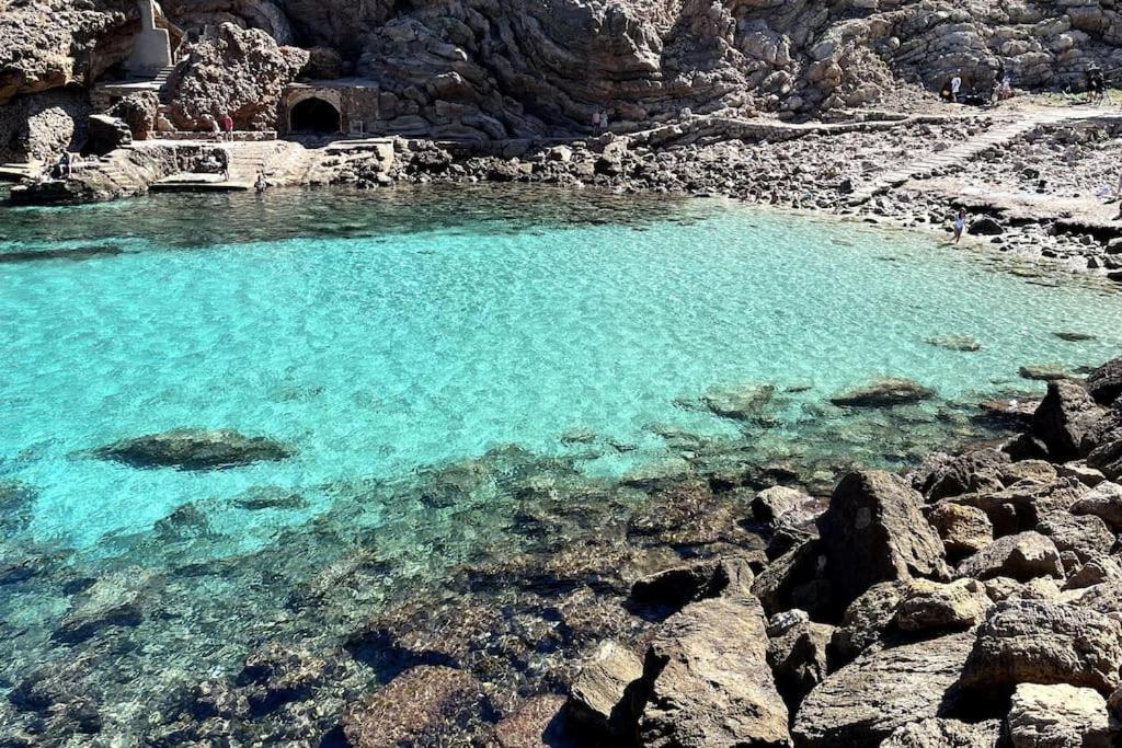 Botana 2 Villa Cala de Sant Vicenc