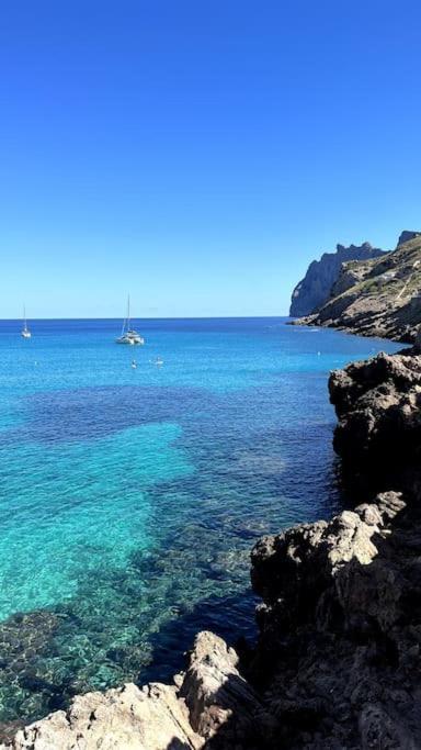 Botana 2 Cala de Sant Vicenc