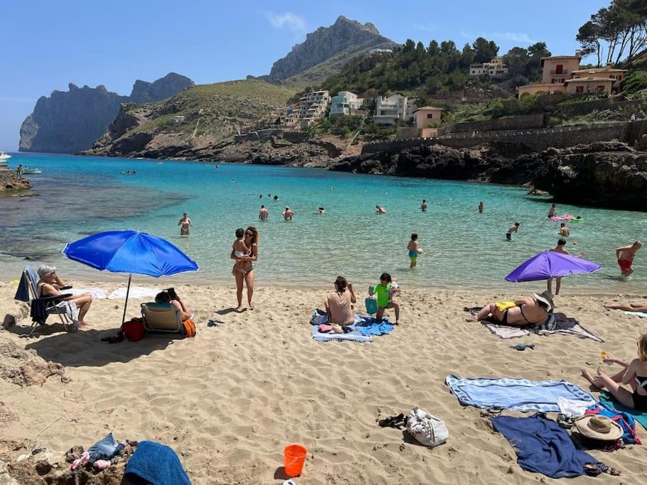 Botana 2 Cala de Sant Vicenc